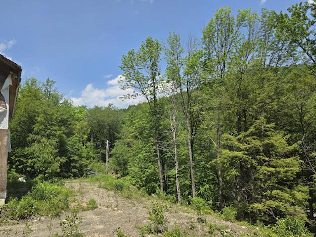 Land for sale in Bethel