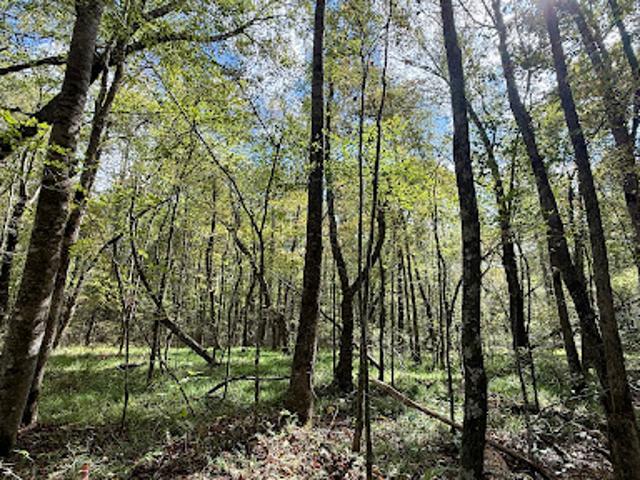 Land for sale in Tennessee