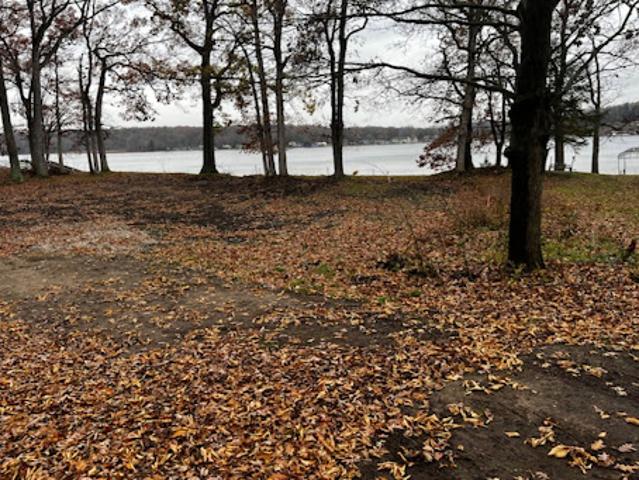 Land for sale in Pinckney