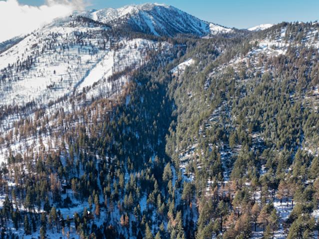 Land for sale in Reno, Nevada