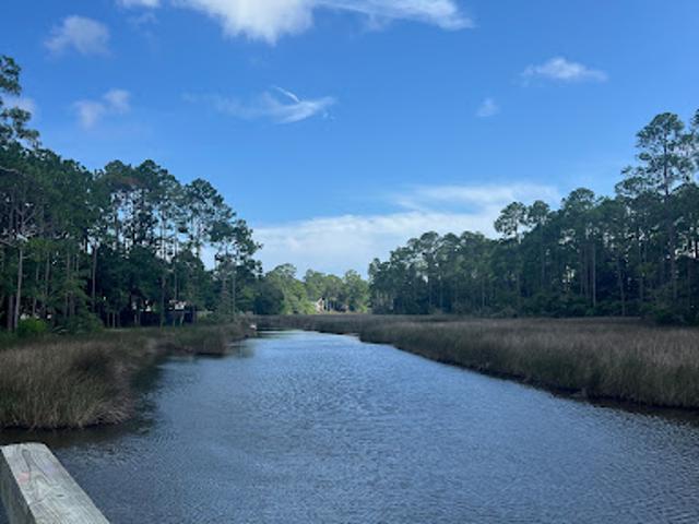Land for sale in Walton, Florida