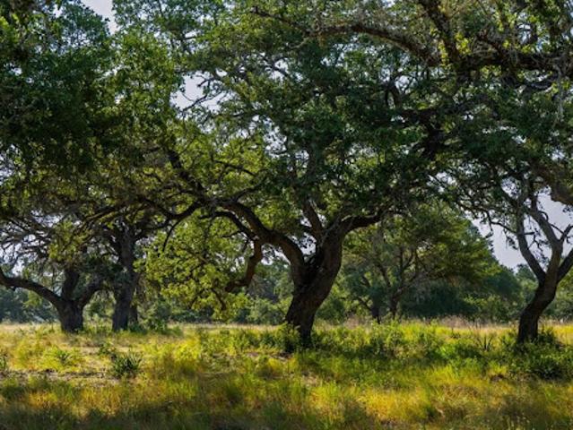 Land for sale in Hays, Texas