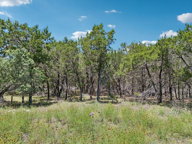 Land for sale in Hays, Texas