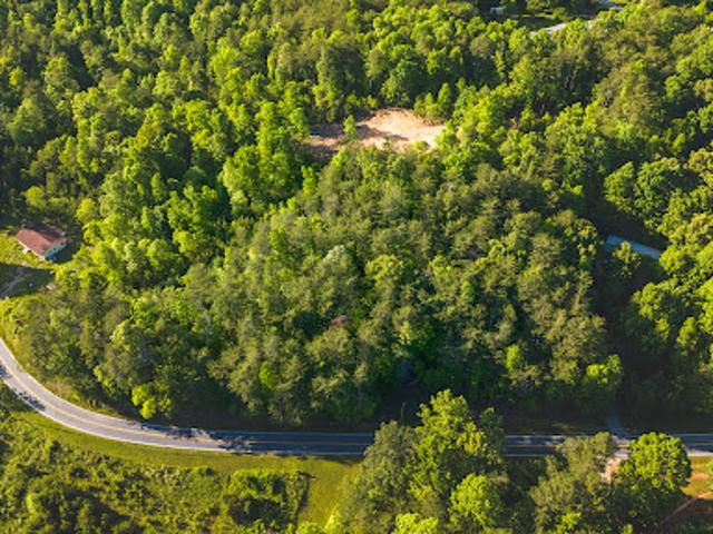 Land for sale in Warne, North Carolina