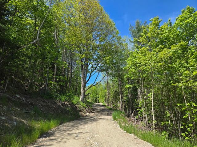 Land for sale in Barnard, Vermont