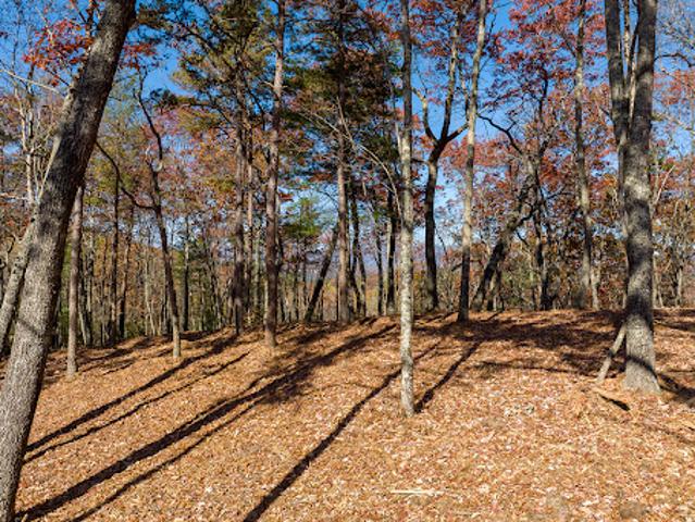 Land for sale in Gilmer, Georgia