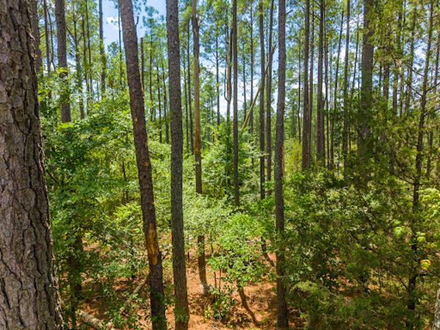 Land for sale in Ark