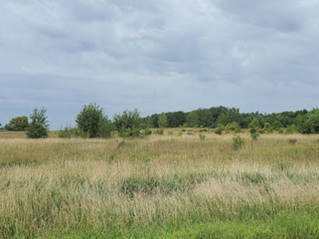 Land for sale in Maynard, Minnesota