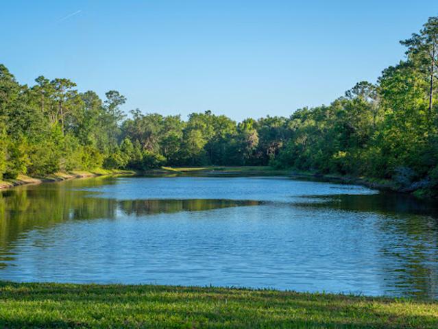 Land for sale in Glynn, Georgia