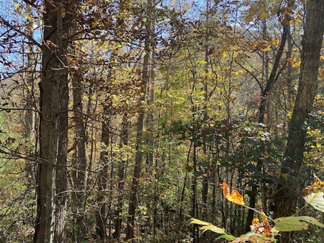 Land for sale in Tuckasegee, North Carolina