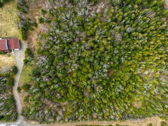 Land for sale in Charlotte, New Brunswick