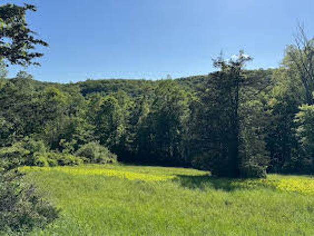 Land for sale in Sherman