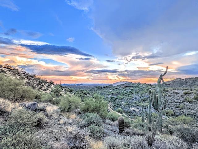 Land for sale in Scottsdale