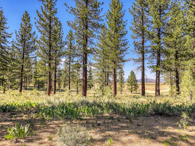 Land for sale in Truckee, California