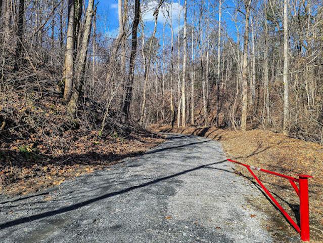 Land for sale in Saluda, North Carolina