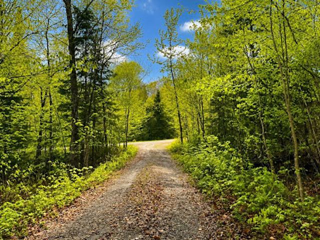 Land for sale in Lac-des-plages, Quebec