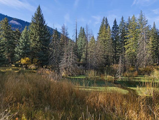 Land for sale in Gallatin Gateway, Gallatin County