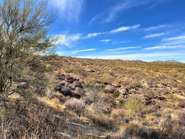 Land for sale in Arizona