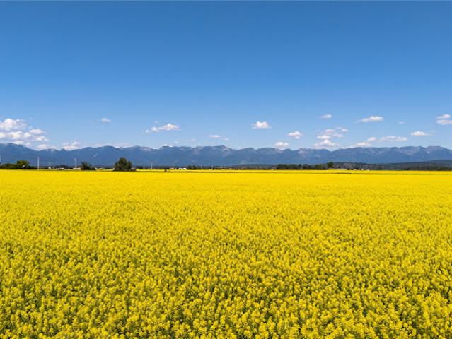 Land for sale in Montana