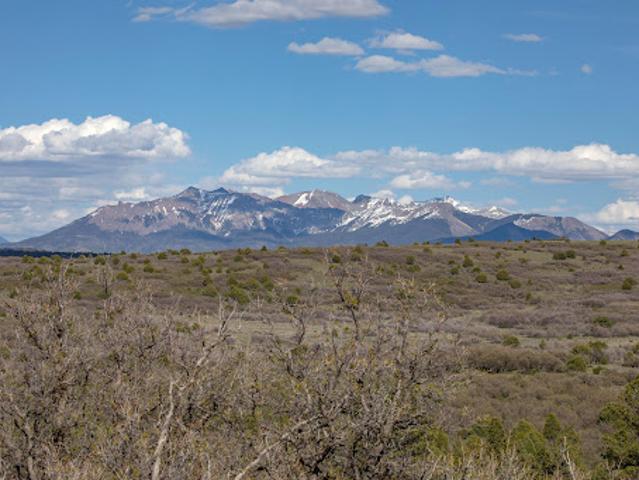 Land for sale in Norwood, Colorado
