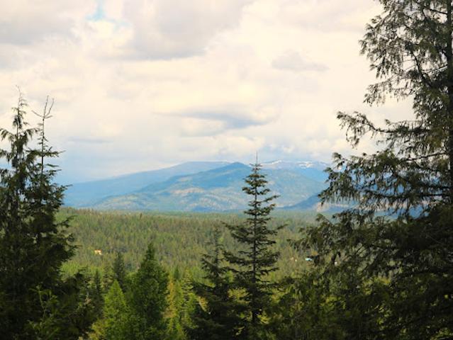 Land for sale in Priest River Land for sale in Priest River
