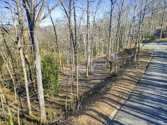Land for sale in Cobb, Georgia