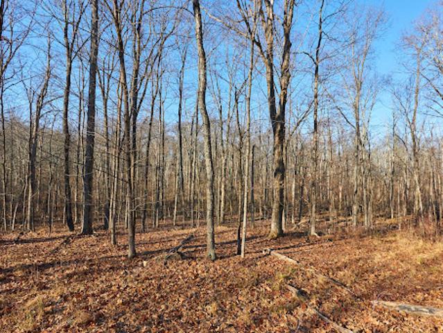 Land for sale in Germantown, New York