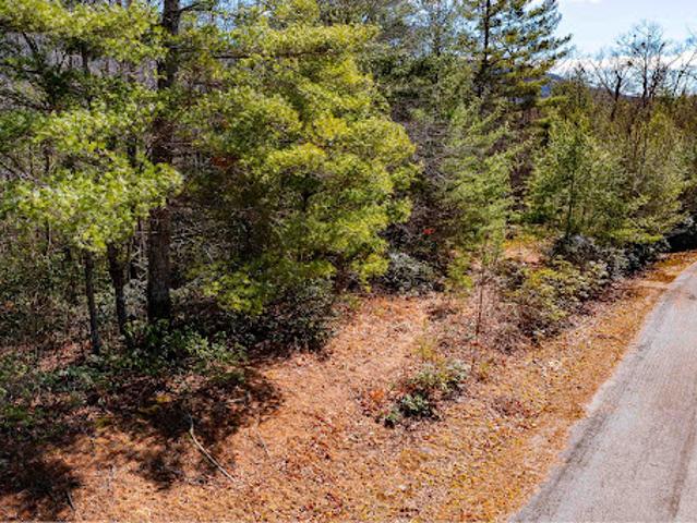 Land for sale in Hendersonville, North Carolina
