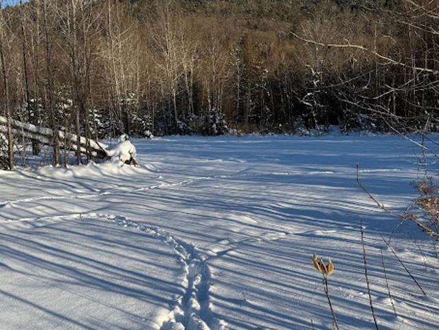Land for sale in Memphrémagog, Quebec