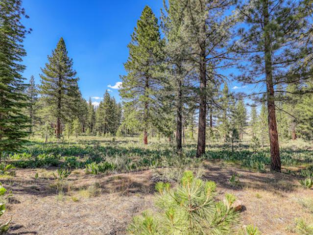 Land for sale in Truckee, California