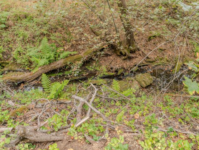 Land for sale in Fiddletown, California