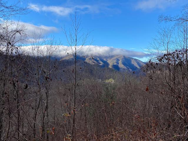 Land for sale in Bryson City, North Carolina