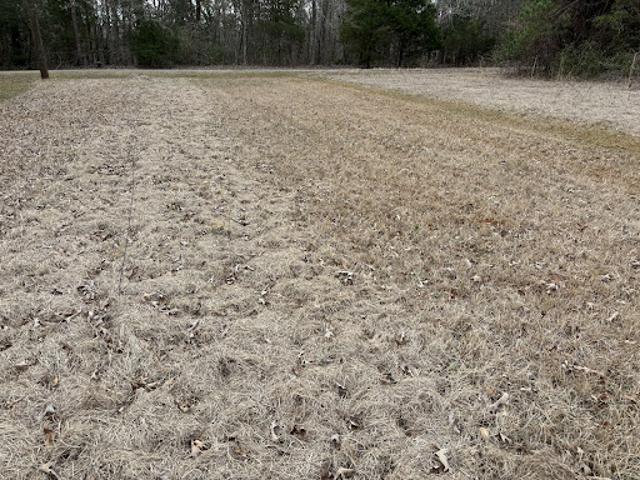 Land for sale in Smith, Texas