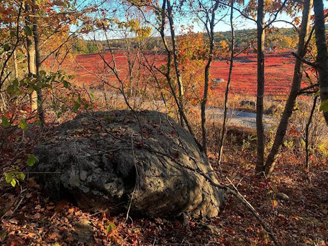Land for sale in Sedgwick, Maine