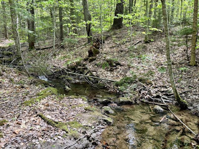 Land for sale in Chester, Vermont