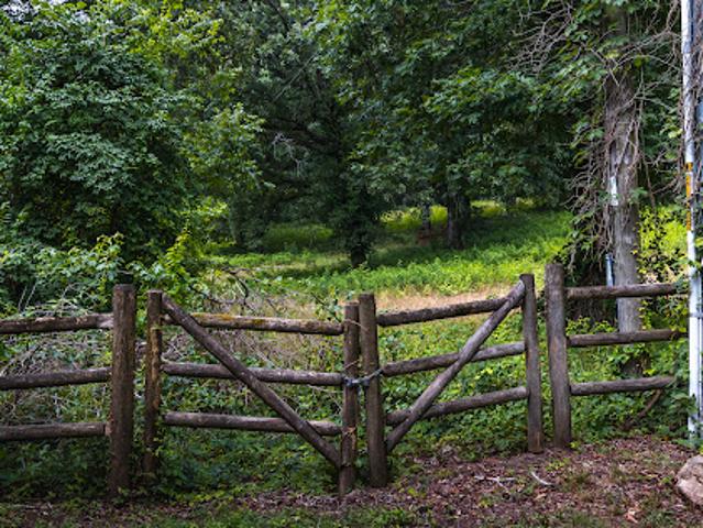Land for sale in Tennessee