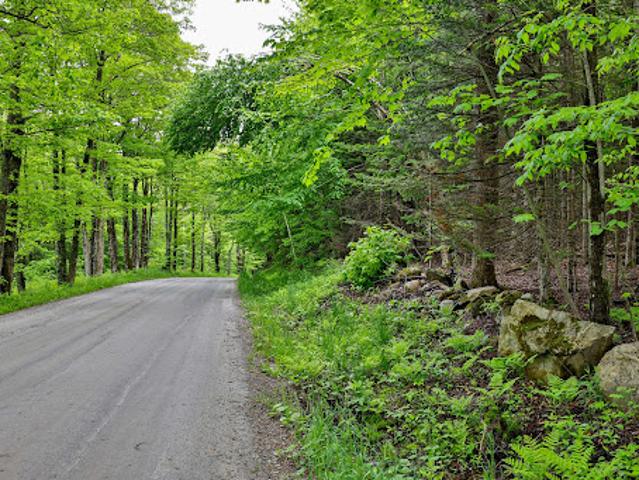 Land for sale in Vermont