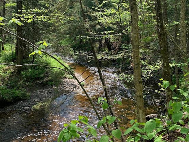 Land for sale in Eastman, Quebec