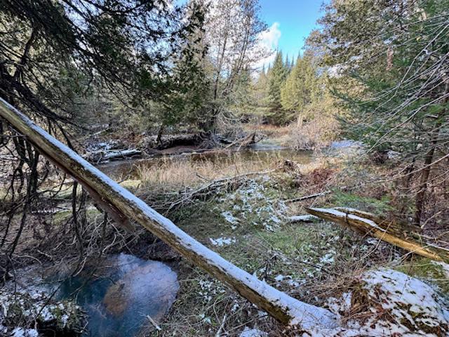 Land for sale in Barnet, Vermont