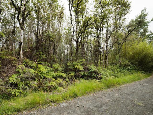 Land for sale in Mountain View, Hawaii
