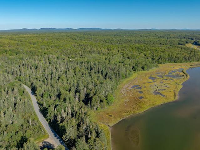 Land for sale in Steuben, Maine