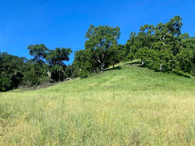 Land for sale in Lafayette, California