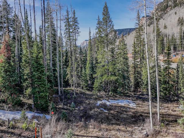 Land for sale in La Plata, Colorado