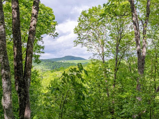 Land for sale in North Carolina