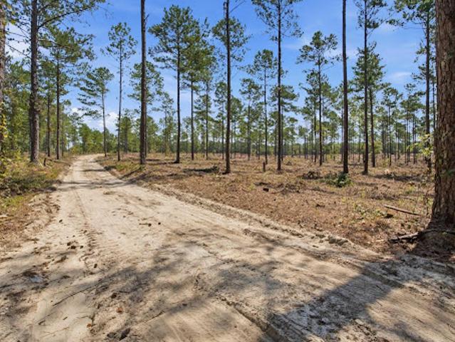Land for sale in Kershaw, South Carolina