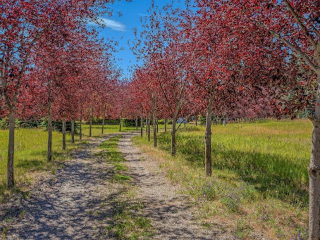 Land for sale in Moyie Springs, Idaho