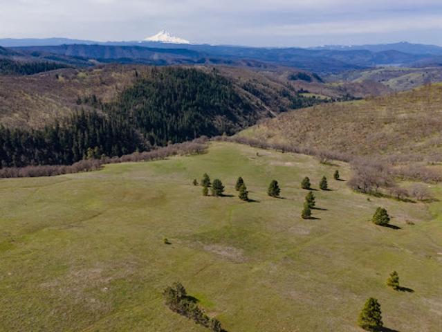 Land for sale in Lyle, Washington
