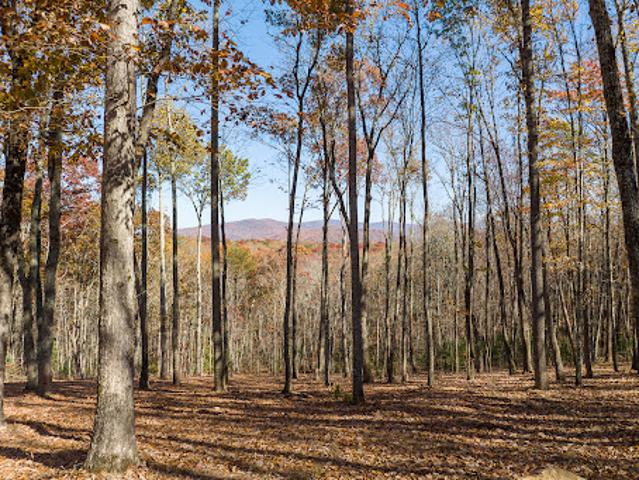 Land for sale in Gilmer, Georgia