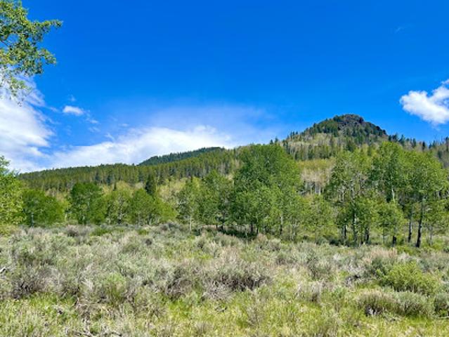 Land for sale in Colorado