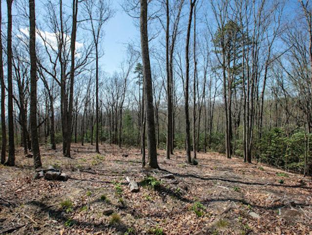 Land for sale in Fletcher, North Carolina